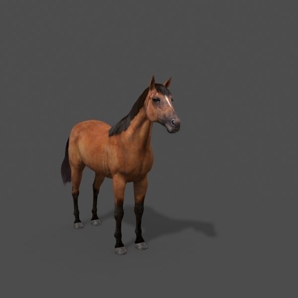 Ultimate Horse Collection - 3d model 3D model_12