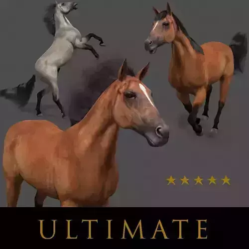 Ultimate Horse Collection - 3d model 3D model