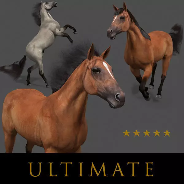 Ultimate Horse Collection - 3d model 3D model_0