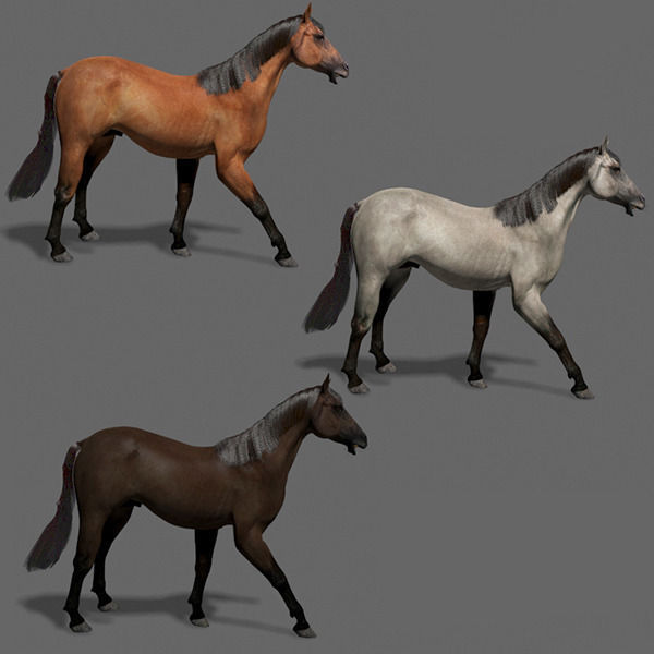 Ultimate Horse Collection - 3d model 3D model_33