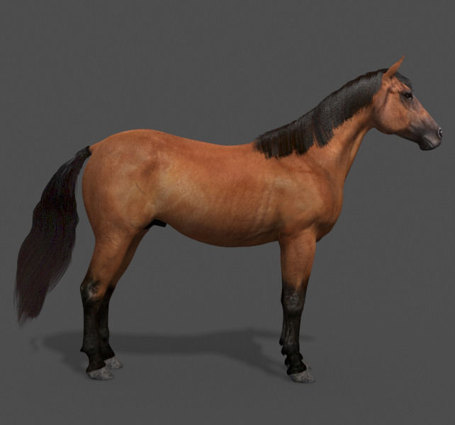 Ultimate Horse Collection - 3d model 3D model_7