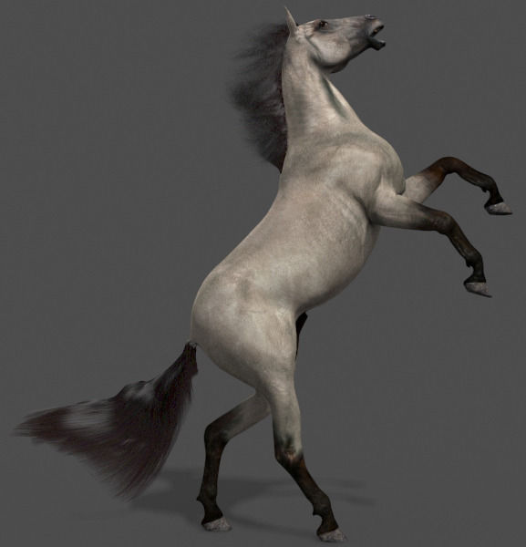 Ultimate Horse Collection - 3d model 3D model_9