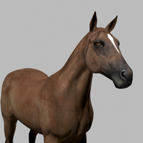 Ultimate Horse Collection - 3d model 3D model_36