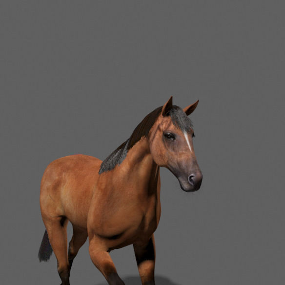 Ultimate Horse Collection - 3d model 3D model_44