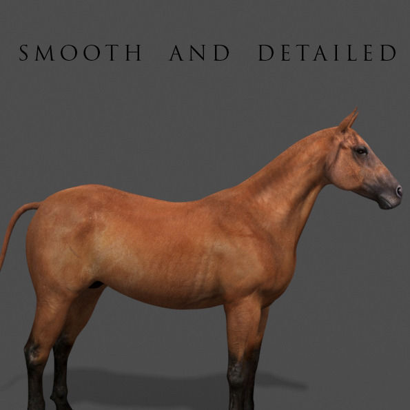Ultimate Horse Collection - 3d model 3D model_17