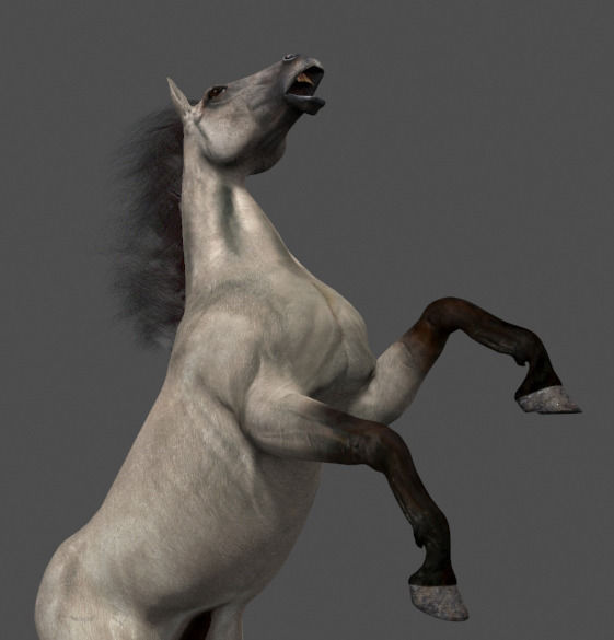 Ultimate Horse Collection - 3d model 3D model_27