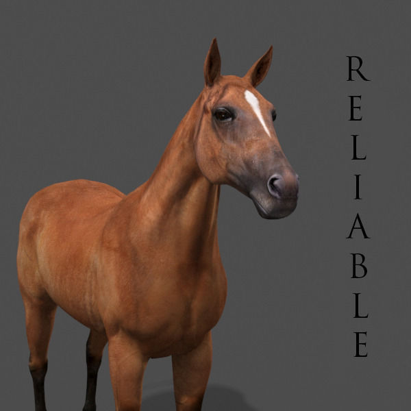 Ultimate Horse Collection - 3d model 3D model_18