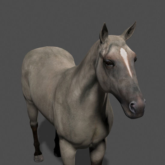 Ultimate Horse Collection - 3d model 3D model_26