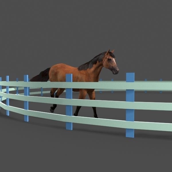 Ultimate Horse Collection - 3d model 3D model_38