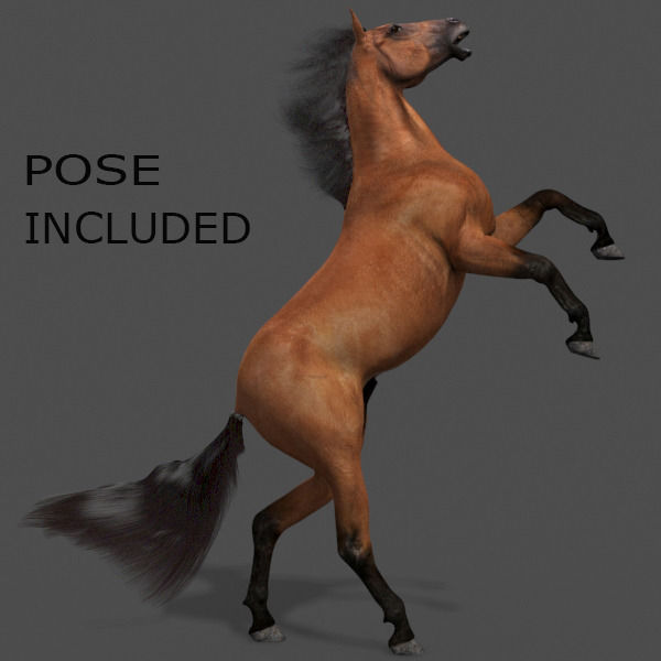 Ultimate Horse Collection - 3d model 3D model_8