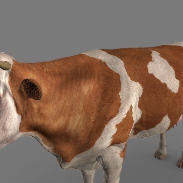 Top Cow - 3d model 3D model_18