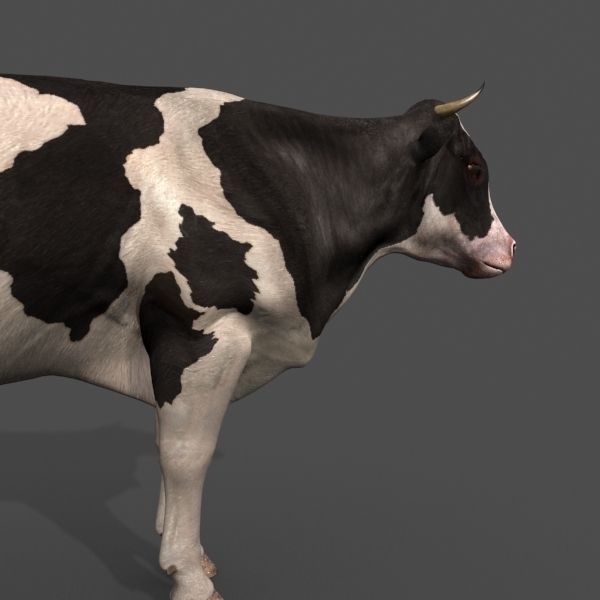 Top Cow - 3d model 3D model_10