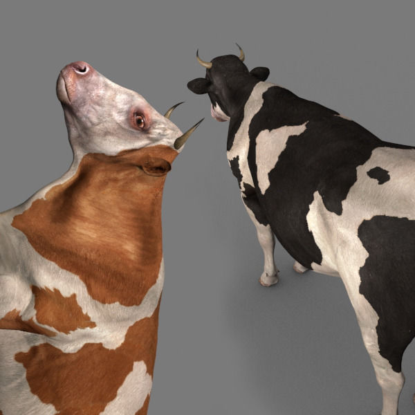 Top Cow - 3d model 3D model_27