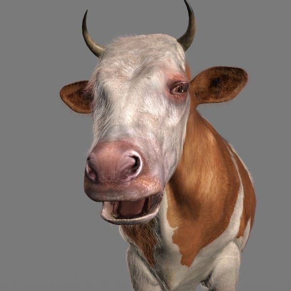 Top Cow - 3d model 3D model_8