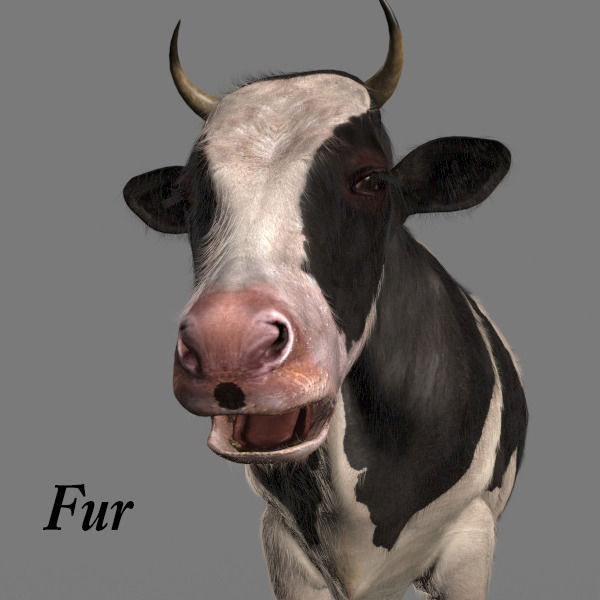 Top Cow - 3d model 3D model_5