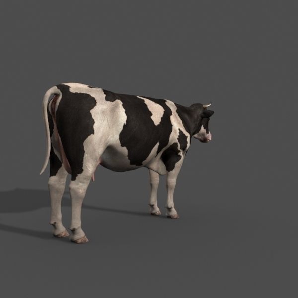 Top Cow - 3d model 3D model_28