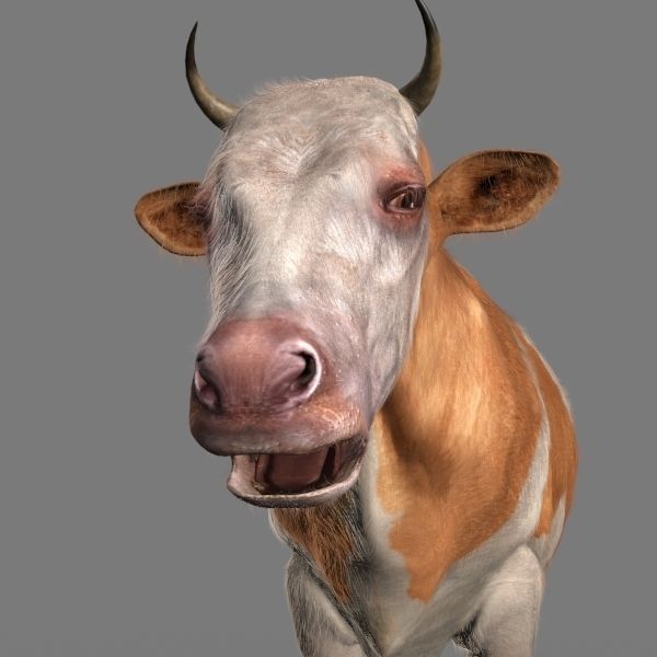 Top Cow - 3d model 3D model_6