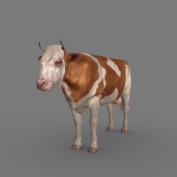 Top Cow - 3d model 3D model_26