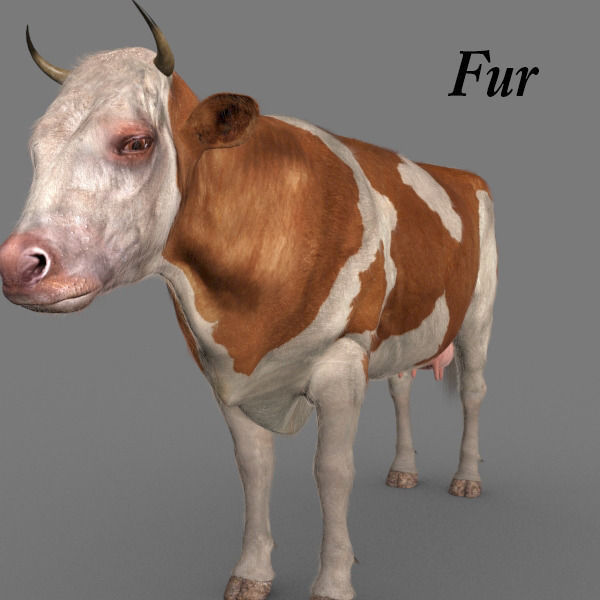 Top Cow - 3d model 3D model_25