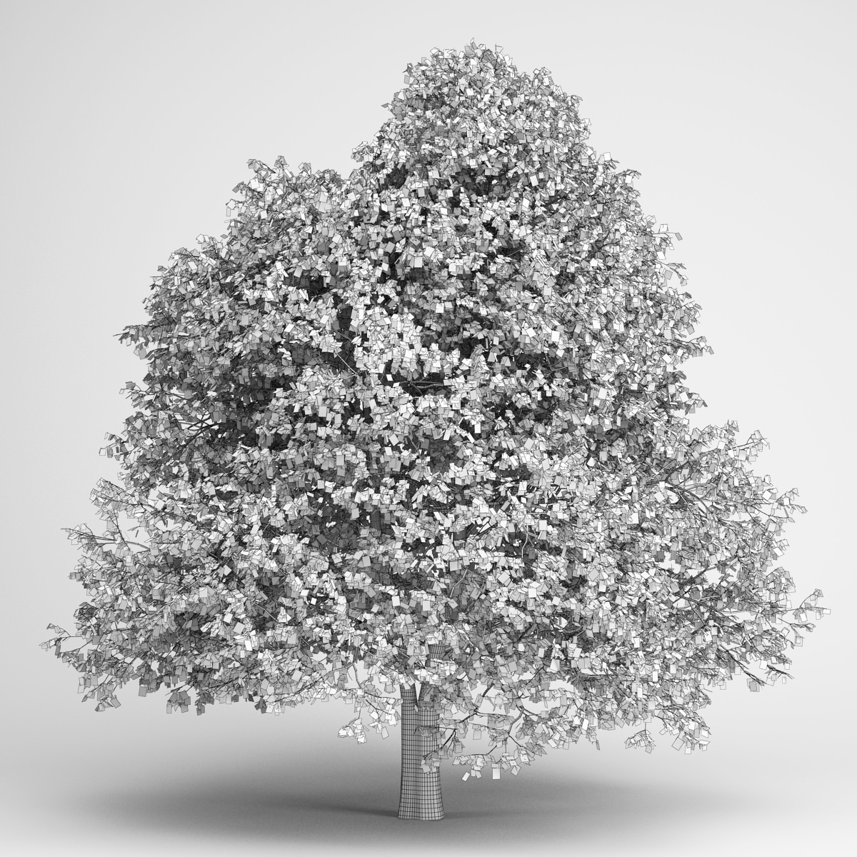 CGAxis Hornbeam 04 3D model_1
