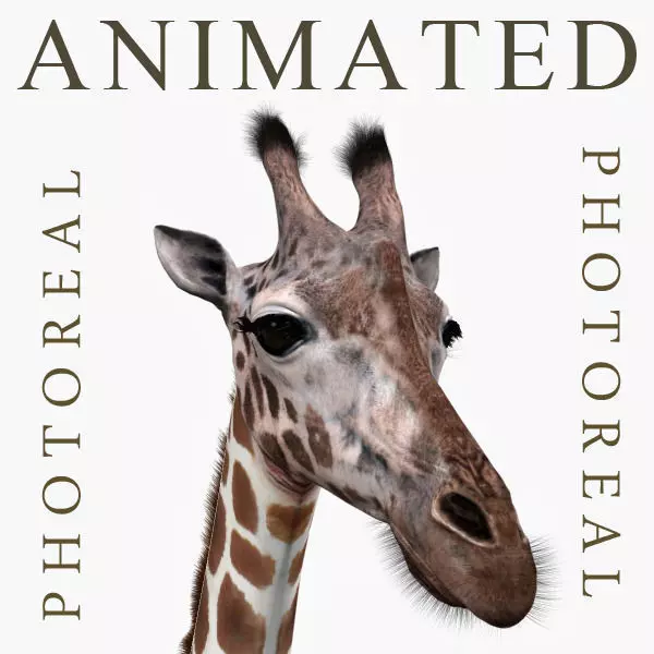 Photoreal HD Giraffe - 3d model 3D model