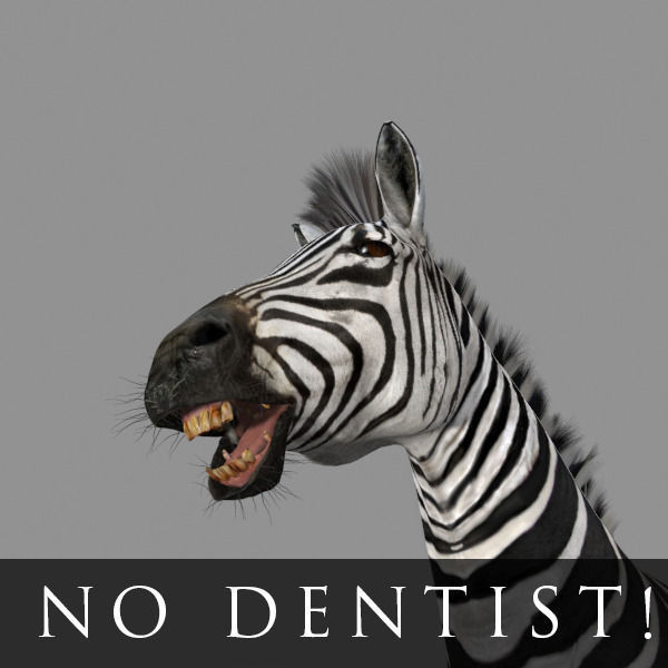 Photoreal HD Zebra - 3d model 3D model_28