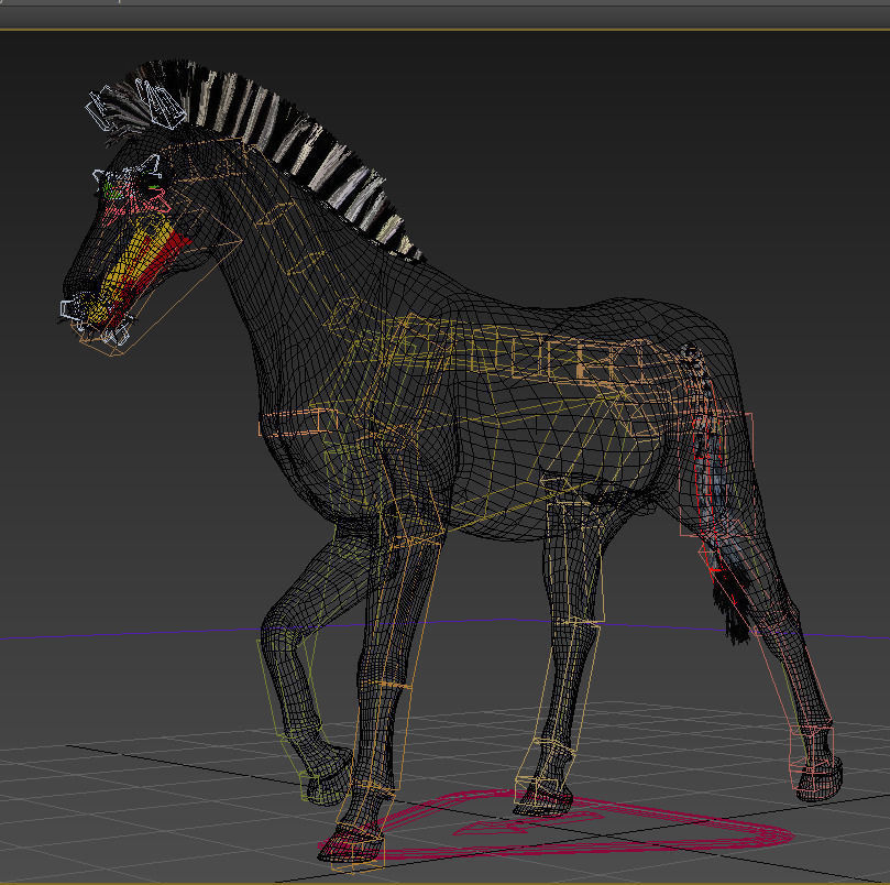 Photoreal HD Zebra - 3d model 3D model_25