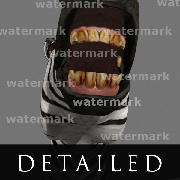 Photoreal HD Zebra - 3d model 3D model_29