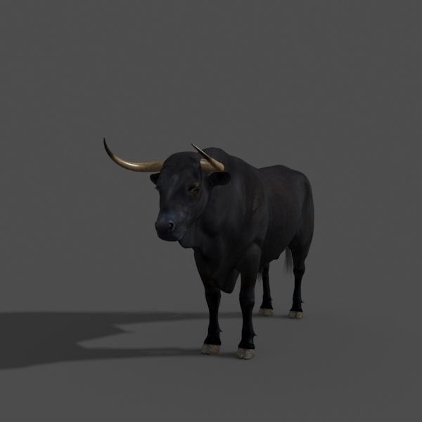 Ultimate Bull - 3d model 3D model_34