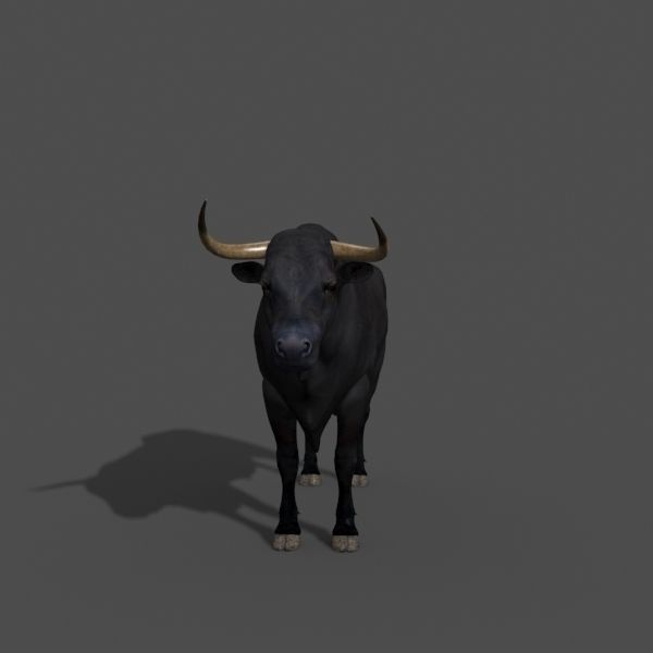 Ultimate Bull - 3d model 3D model_39