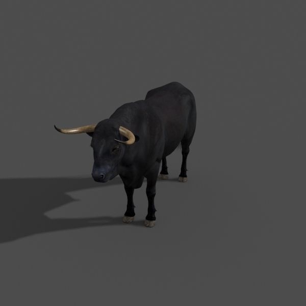 Ultimate Bull - 3d model 3D model_31