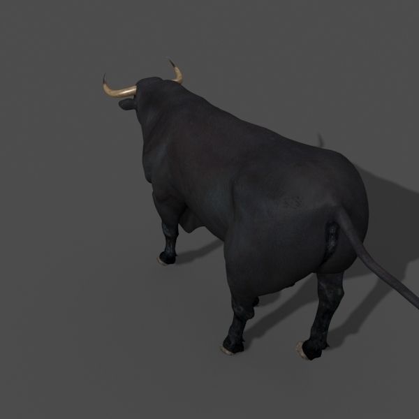 Ultimate Bull - 3d model 3D model_12