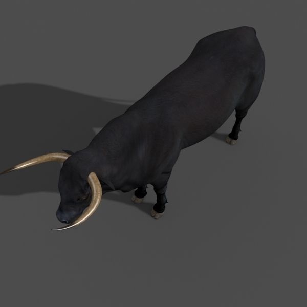 Ultimate Bull - 3d model 3D model_10