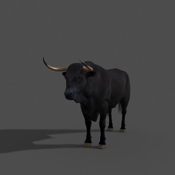 Ultimate Bull - 3d model 3D model_36