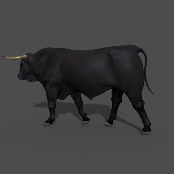 Ultimate Bull - 3d model 3D model_22