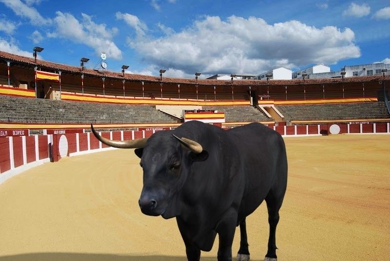 Ultimate Bull - 3d model 3D model_8