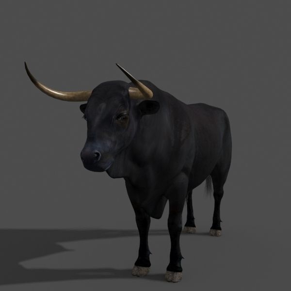 Ultimate Bull - 3d model 3D model_25