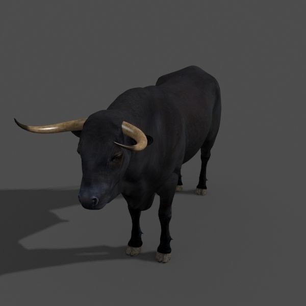 Ultimate Bull - 3d model 3D model_27