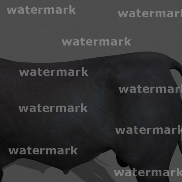 Ultimate Bull - 3d model 3D model_18