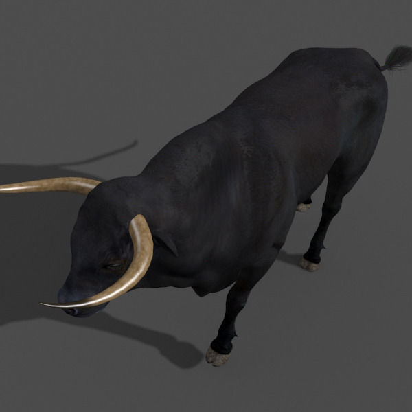 Ultimate Bull - 3d model 3D model_13