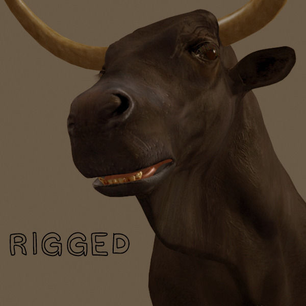 Ultimate Bull - 3d model 3D model_29