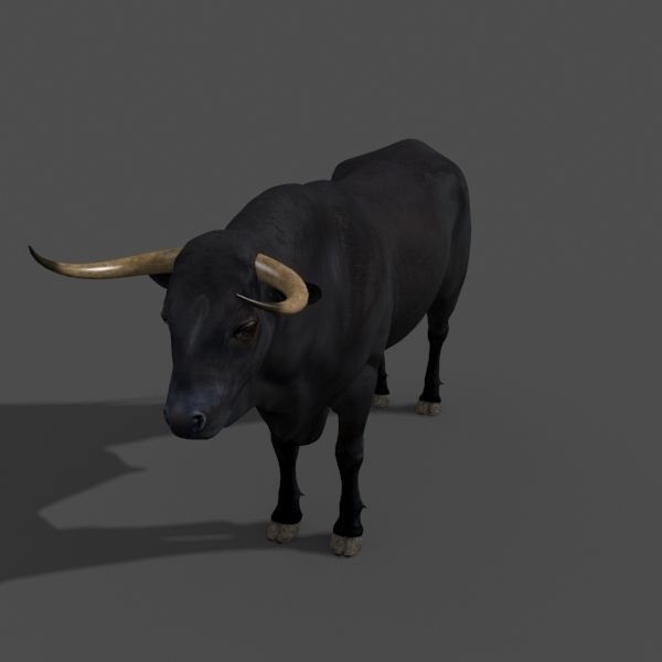 Ultimate Bull - 3d model 3D model_9