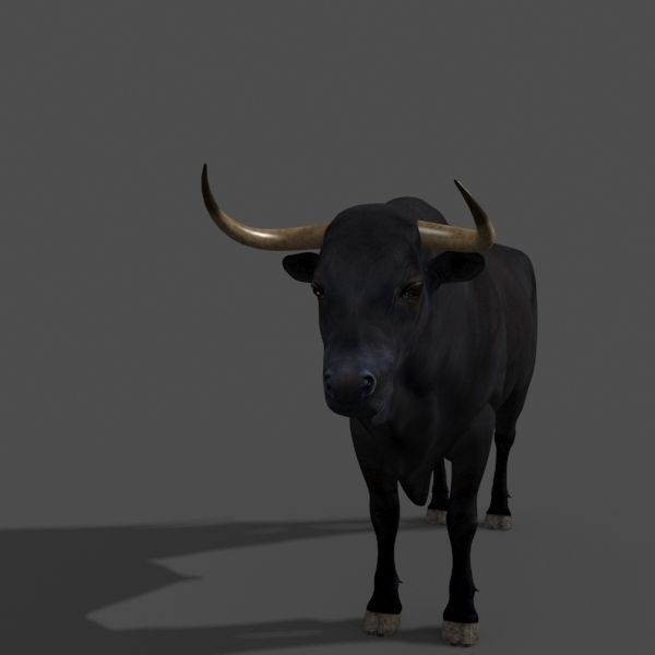 Ultimate Bull - 3d model 3D model_37
