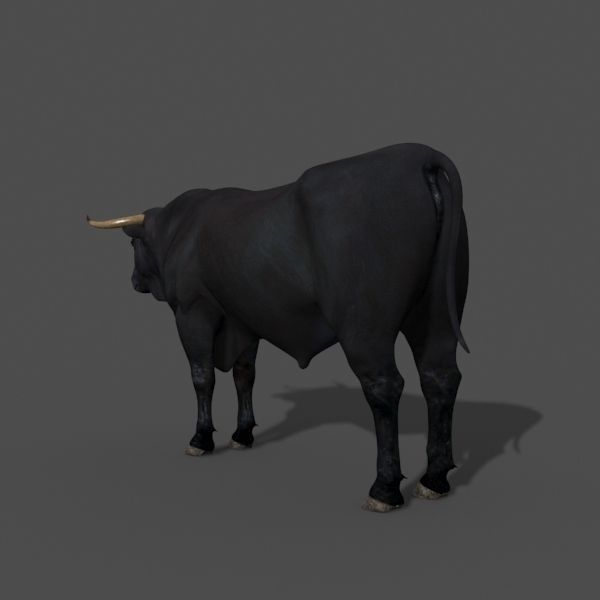 Ultimate Bull - 3d model 3D model_21