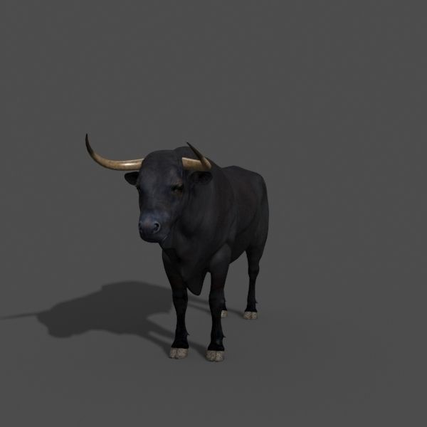 Ultimate Bull - 3d model 3D model_26