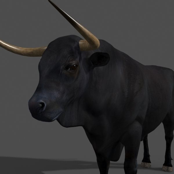 Ultimate Bull - 3d model 3D model_30