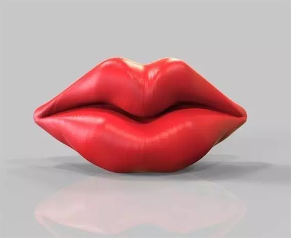 A lips 3D model