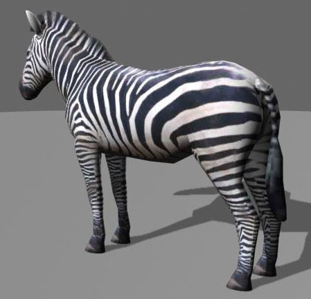 Low poly Savannah pack - 3d model Low-poly 3D model_53