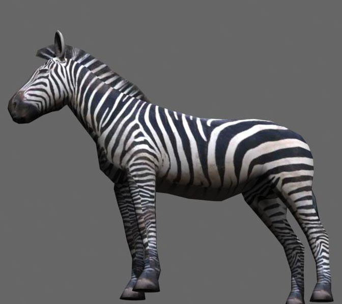 Low poly Savannah pack - 3d model Low-poly 3D model_56