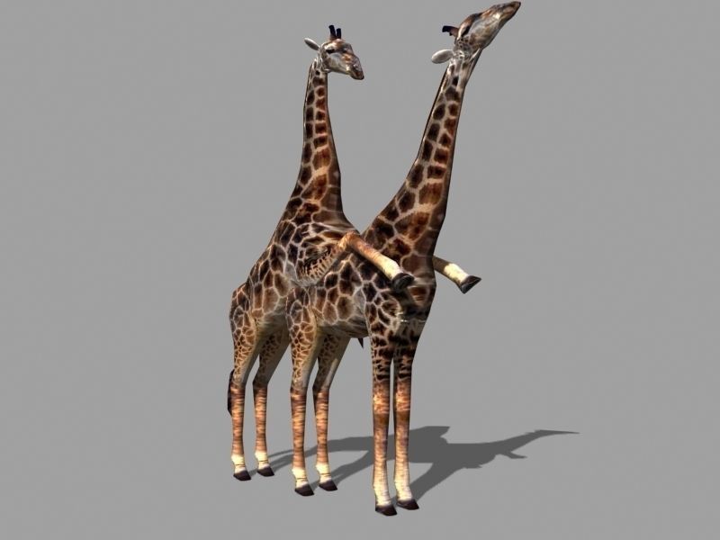 Low poly Savannah pack - 3d model Low-poly 3D model_23